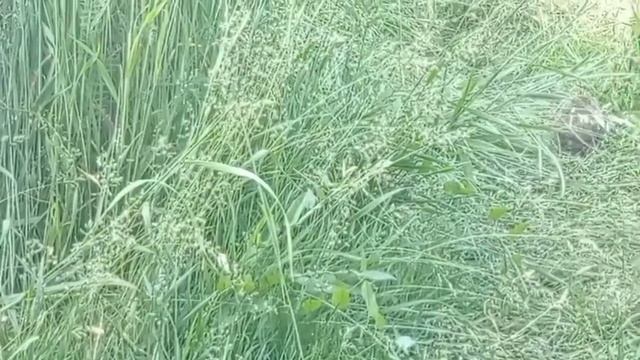 Отдохнула хорошо парень то крепкий/Истории из жизни смотреть онлайн