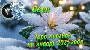 ОВЕН! Таро прогноз на январь 2025 года!