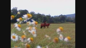 А Лутченко ПО ТИХОМУ ДОНУ