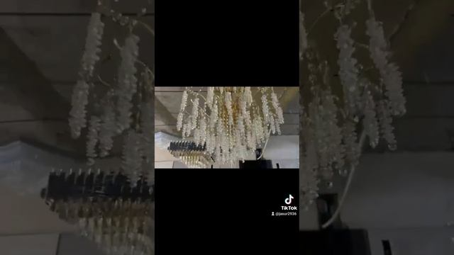 25 августа 2023 г. смотреть онлайн