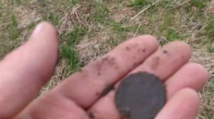 Весенний коп по старине. Не битая полянка.