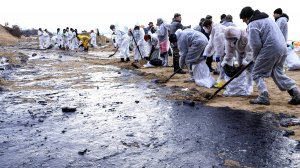 Влияние разлива мазута в Керченском проливе на пляжный сезон оценили