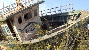 Barche - Boats.   
A film by Alicia Maksimova