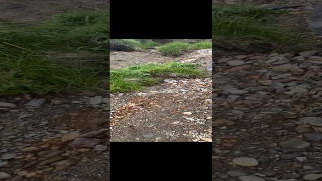 Мощная рыбалка на Северных реках КАМЧАТКИ