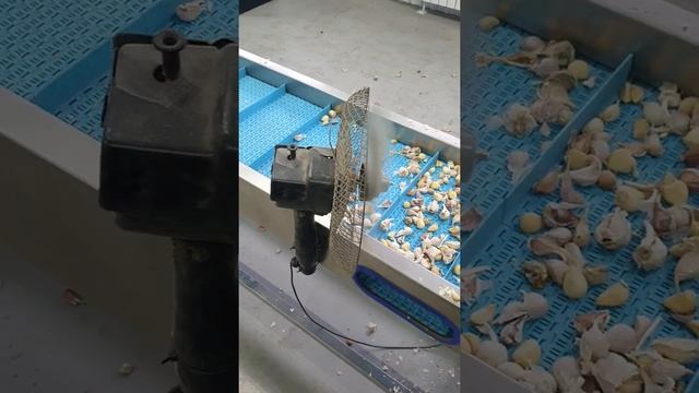 Дробилка чеснока на зубки смотреть онлайн