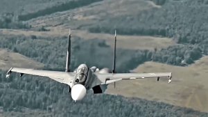 НОВЫЙ ФОРМАТ БОЕВОГО САМБО - ПРОФЕССИОНАЛЬНОЕ