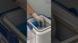 Вакцинация БЦЖ