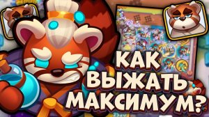 Мастер Стихий - Предел по урону 🔥 | Rush Royale