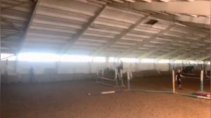 КОНО-БЛОГ|Влог с конюшни