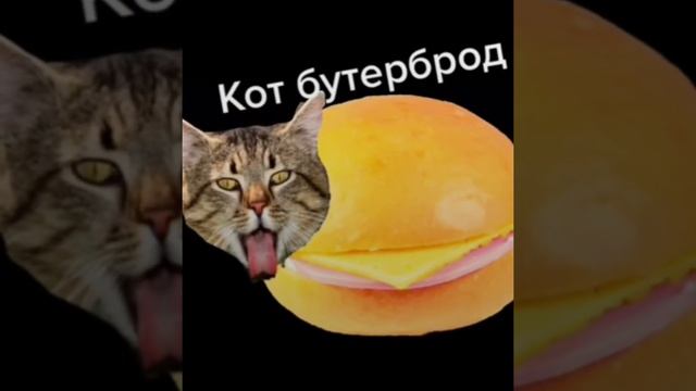 мышка сосиска крыска Ириска кот бутерброд авокадо бегемот