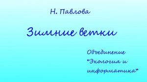 Зимние ветки