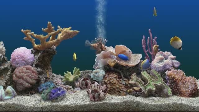 Расслабление | Медитация для сна | Аквариум с рыбками 🐠