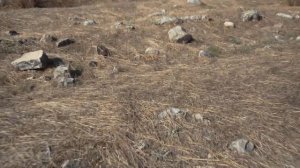 Гигантский саркофаг? #артефакты