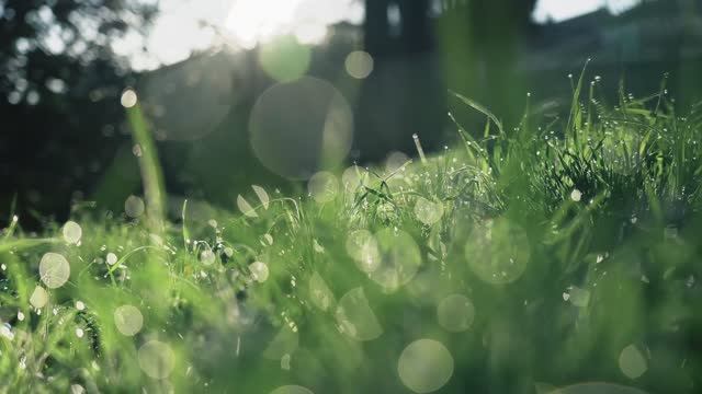 Расслабляющая музыка | Relax 🌿