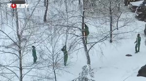 Неизвестные в красно-зеленых костюмах окружили дерево в Уручье