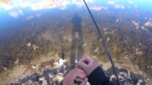 Рыбалка на ротана осенью . Ротан - КРАСАВЧИК !