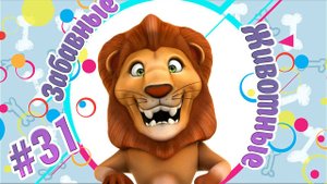 ХВОСТАТЫЕ И СМЕШНЫЕ № 31 + ВЕСЁЛАЯ ВИДЕОПОДБОРКА ПРО ЖИВОТНЫХ+ НОВЫЕ ПРИКОЛЫ 2024+ СМЕШНЫЕ ЖИВОТНЫЕ