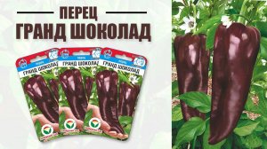 Перец "Гранд Шоколад"