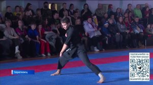 Зрелищные выступления мастеров боевых искусств прошли на новогоднем празднике в череповецком ЦБИ