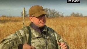 Охота на фазана в астраханской области. Охота на фазана с легавой . 2018