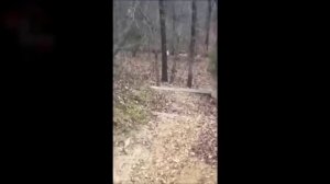 испугался 10 самых страшных видео снятых на камеру
