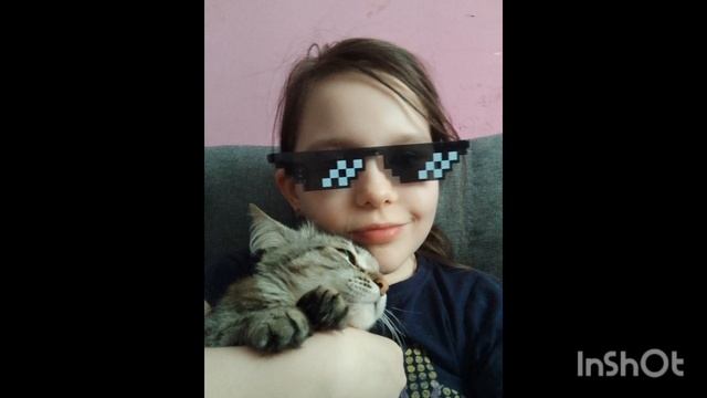 Милые котяшки!!!♥️😍❣️🥰😇