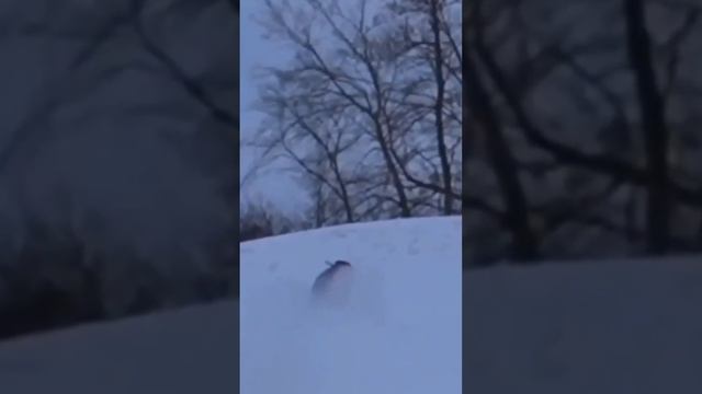 Запустили МОТО в космос😁