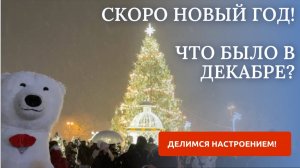 ДЕКАБРЬ 2024/НОВОГОДНЯЯ СКАЗКА/ДР АННЫ