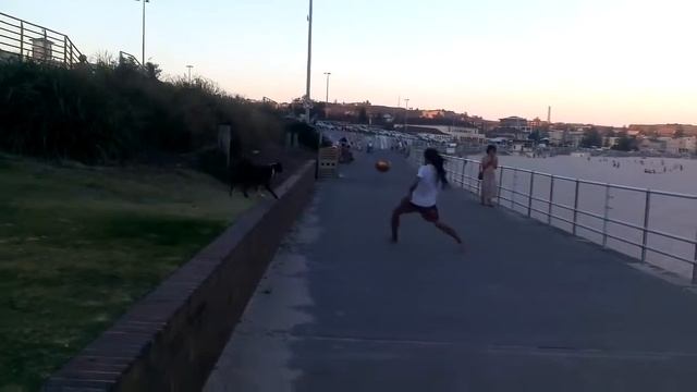 Парень с собакой играют в футбол смотреть онлайн