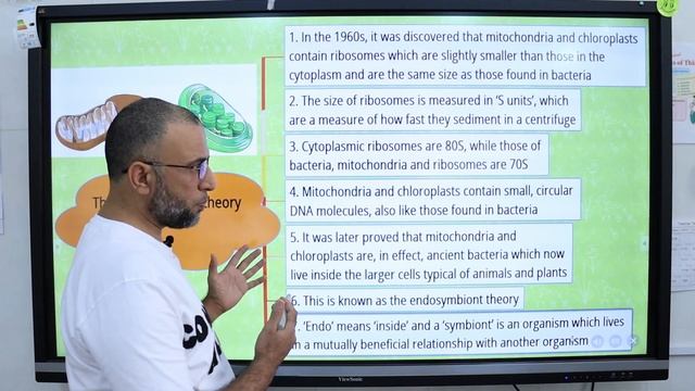 Mitochondria with Dr. Sohail Jamil Qureshi / MDCAT Biology смотреть онлайн