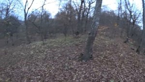 Охота. Засидки дали результат.