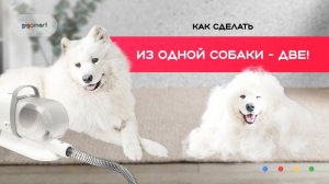 Xiaomi 2 in 1 Pet Grooming Vacuum Cleaner Kit and Hair Dryer / Набор для груминга: пылесос + фен