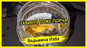 ЗАВИСТЬ ТОЖЕ ПОРЧА. #ВЕДЬМИНАИЗБА ▶️ #МАГИЯ