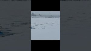 26-12-2024
