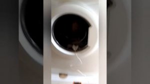 обзор и тест стиральной машинки Самсунг 4 кг. wf0400n2n для авито.