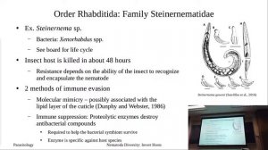 Nematodes: Invertebrate Hosts