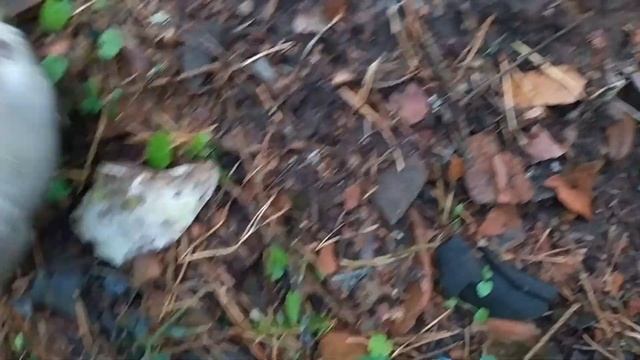 Нашли странную постройку в лесу. смотреть онлайн