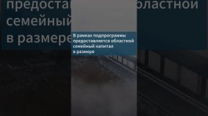 Роль бюджета Новосибирской области в финансовой поддержке семей с детьми