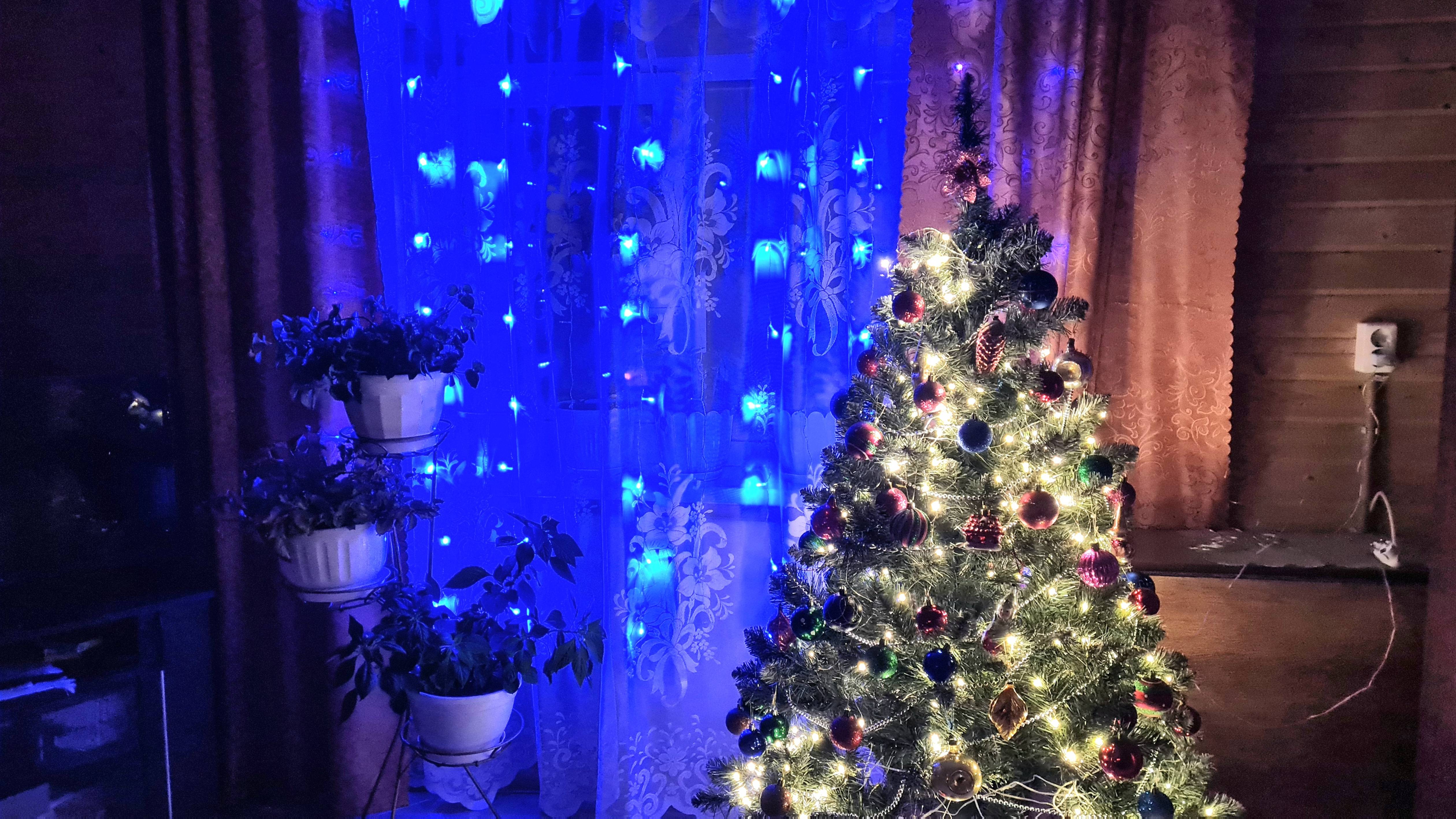 Праздничная дача 18.12.24!