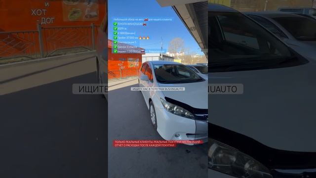 Белый перламутр Toyota Wish пробег 37т.км очередная капсула времени