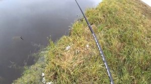 Ловля ротана поздней осенью