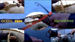 Простая рыбалка на спиннинг. Осенний жор щуки 2024 г. #рыбалка #fishing #щука #россия #природа