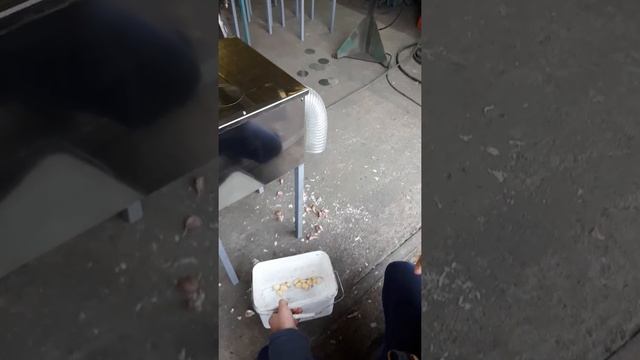 Чеснокочистка как чистить чеснок, очиститель чеснока смотреть онлайн