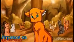 Бич и огнезвёзд (клип)