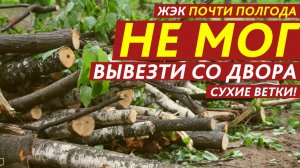 ЖЭК почти полгода не мог вывезти со двора сухие ветки!