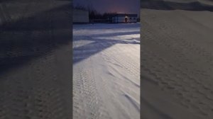 Серега смотри!