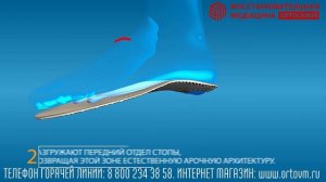 ORTMANN PRO