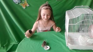 Милый хомячок Джунгарик Нюся.