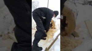 колода для пчел, делаем борть для пчел на пасеки в деревне