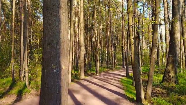 Прогулка по весеннему парку смотреть онлайн